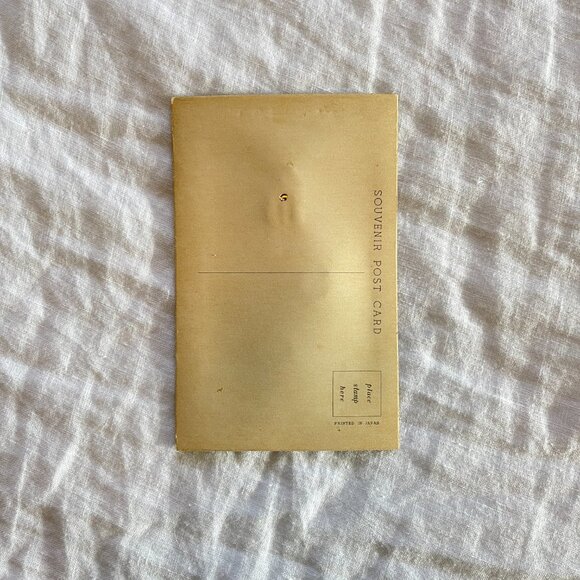 Alfred Mainzer German Shepherd Dog Squeaking Postcard - Picture 9 of 9